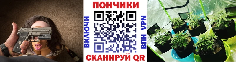 Наркота Новая Ладога Амфетамин  А ПВП  mega как зайти  Псилоцибиновые грибы  Cocaine  Меф мяу мяу  Марихуана 