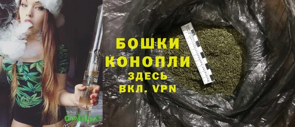 крисы Костерёво