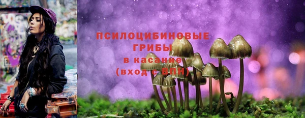 крисы Костерёво