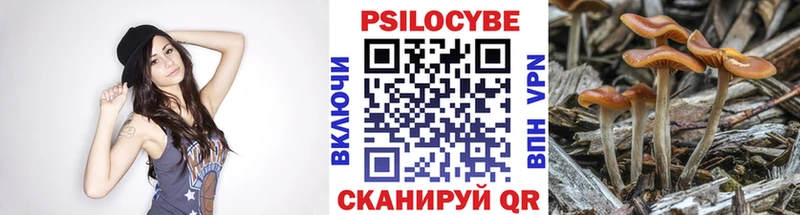 Псилоцибиновые грибы ЛСД  закладка  hydra сайт  Новая Ладога 